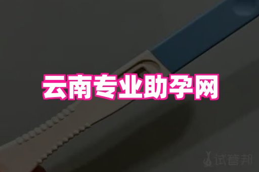 试管助孕网站 2