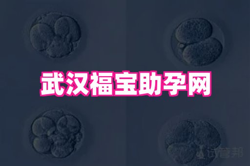 试管助孕网站 3